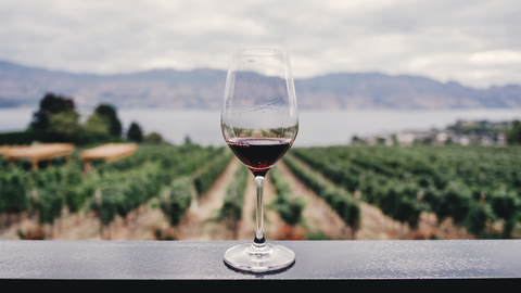What You Need to Know About The Different Types of Italian Red Wine