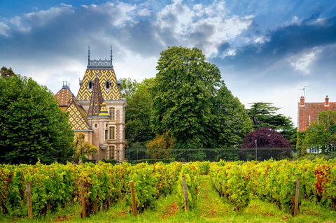 Wine 201: Burgundy with Ben Bohen