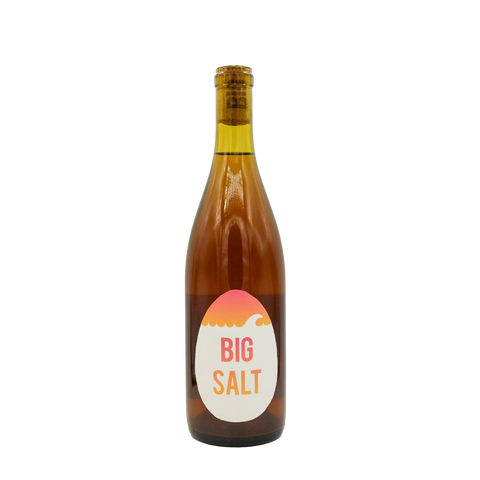 Big Salt Orange Rose 2023
