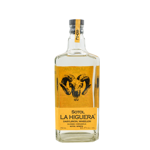 Sotol la Higuera Wheeleri