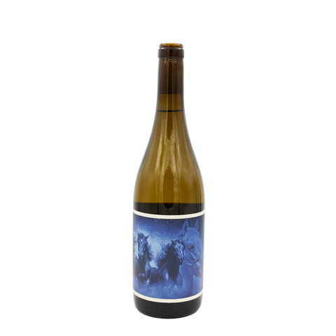 Lightwell Survey Goodbye Horses 2022