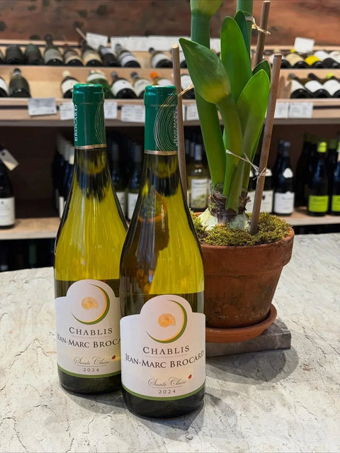 Two bottles of Jean-Marc Brocard Chablis displayed beside a potted plant at Community Wine & Spirits.