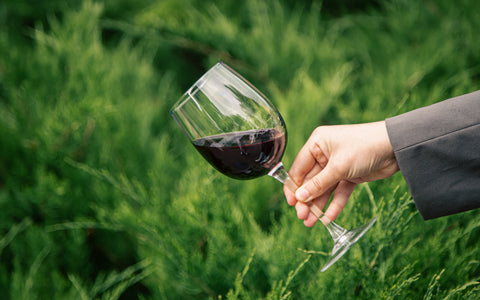 Close-up of a glass of red wine with green bushes softly blurred in the background