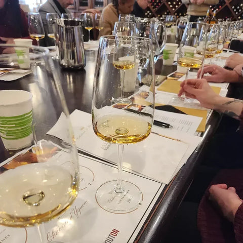 Guests comparing and tasting white wines in large stemmed wine glasses during a guided wine tasting.