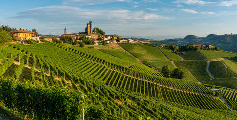 Community Favorites: Vietti
