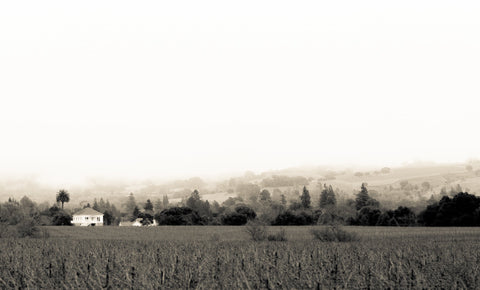 Community Favorites: California Stunners From Favia