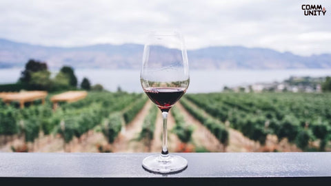 history-of-wine