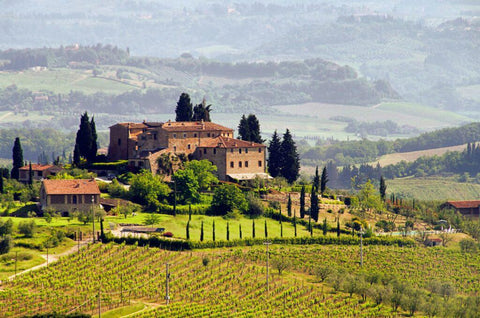 Wine 201: Tuscany