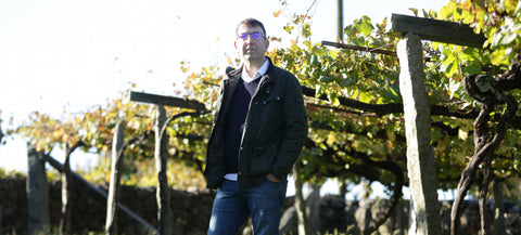 Bodegas Zarate
