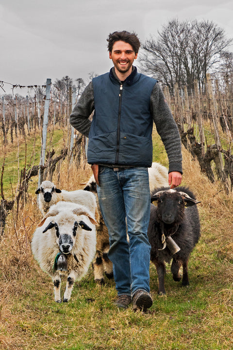 Domaine Ostertag