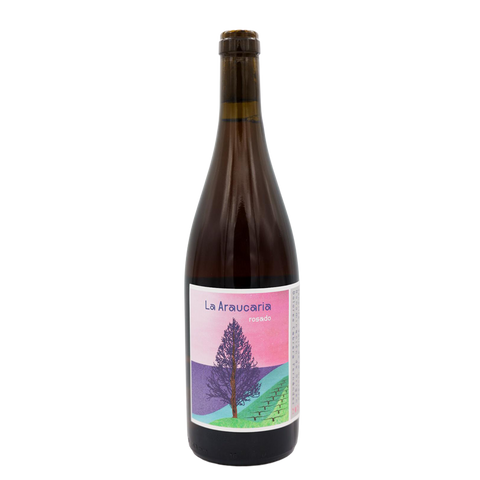 Dolores Cabrera Fernández, Valle de la Orotava La Araucaria Rosado 2023