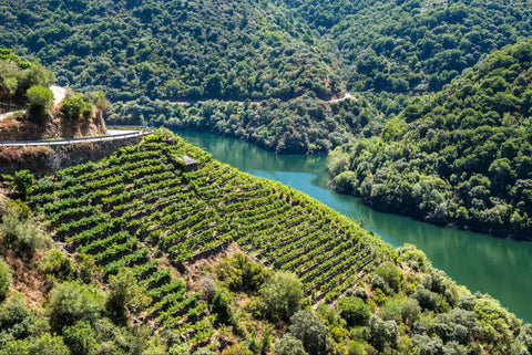 Wine 201: Galicia