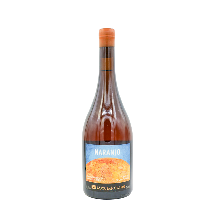 Maturana Wines Naranjo Torontel Loncomilla 2022 organic orange wine