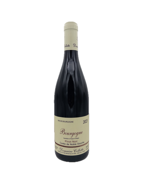 Domaine Collotte Bourgogne Pinot Noir Noble Souche 2023