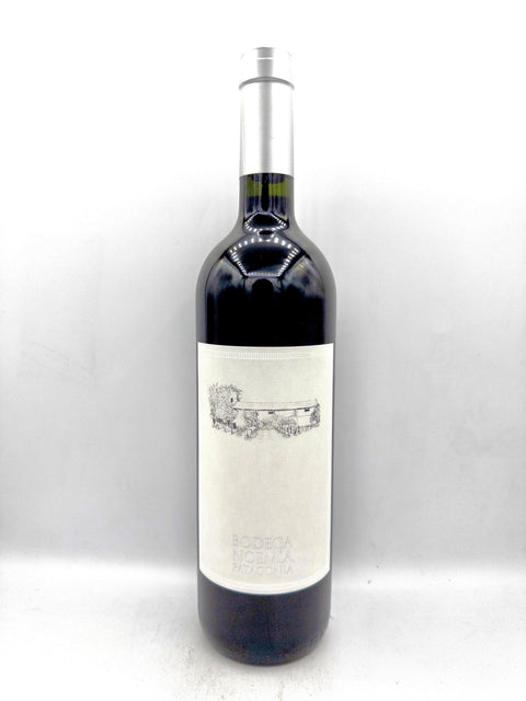 Bodega Noemia J Alberto Malbec 2022