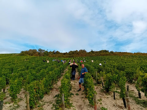 Domaine de Sacy
