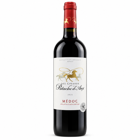Les Chevaux Patache d'Aux Medoc 2022