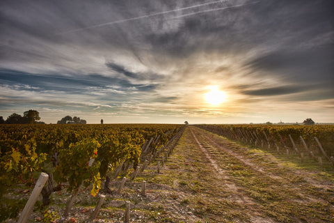 Chateau Pichon Longueville Comtesse de Lalande