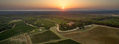 Tenuta di Biserno