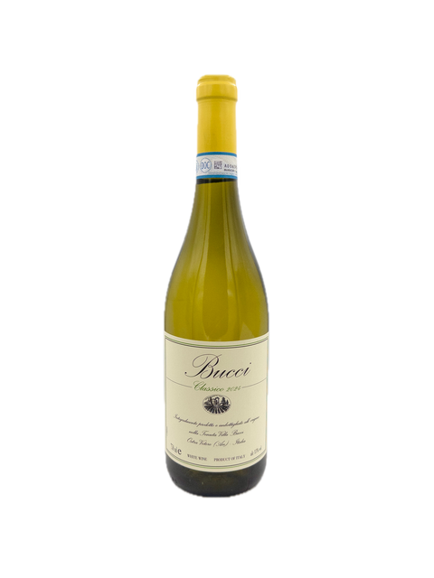 Bucci Verdicchio dei Castelli di Jesi Classico Superiore 2024