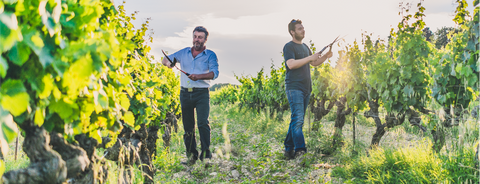 Domaine Alary