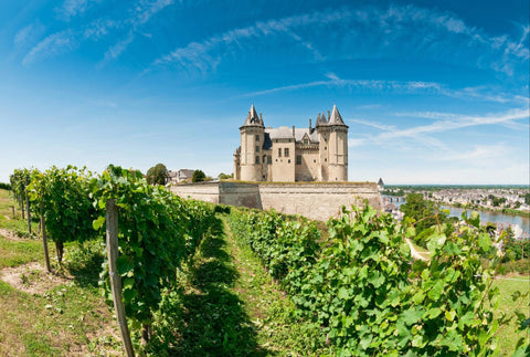 Wine 101: Loire Valley