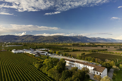 Bottega Wines