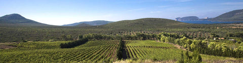 Cantina Santa Maria La Palma