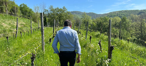 Ronchi di Cialla