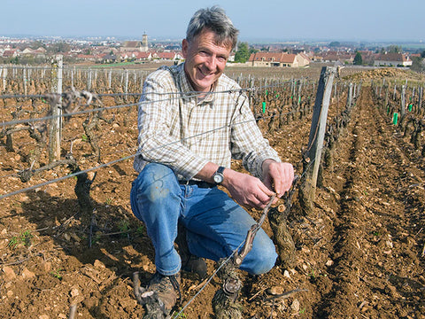 Domaine Collotte
