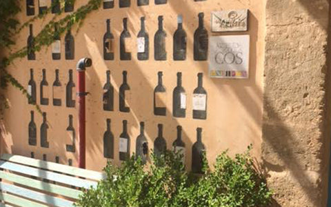 Bodega Garzon