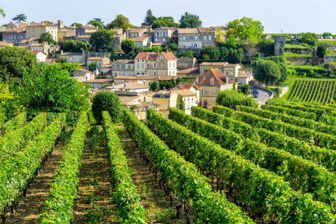 Wine 201: Bordeaux Tuesday 9/9 7-8:30 PM