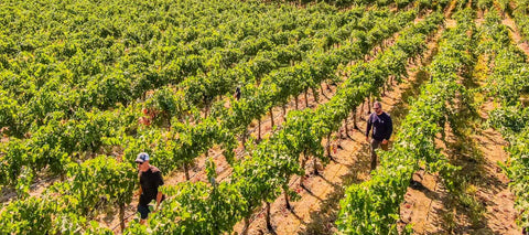 DeLille Cellars