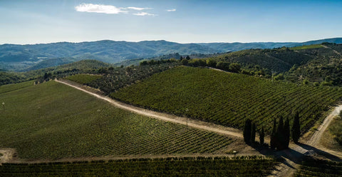 Castello di Ama
