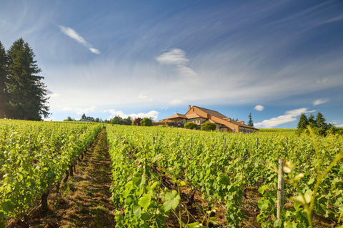 Domaine Drouhin