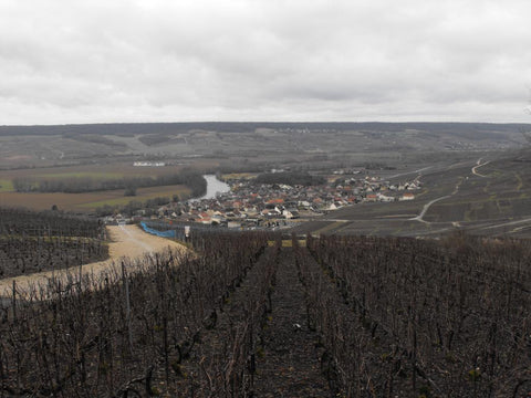Wine 201:  Champagne with Master of Wine Charles Curtis
