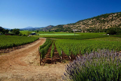 Related Wine School: Napa Valley with Ben Bohen
