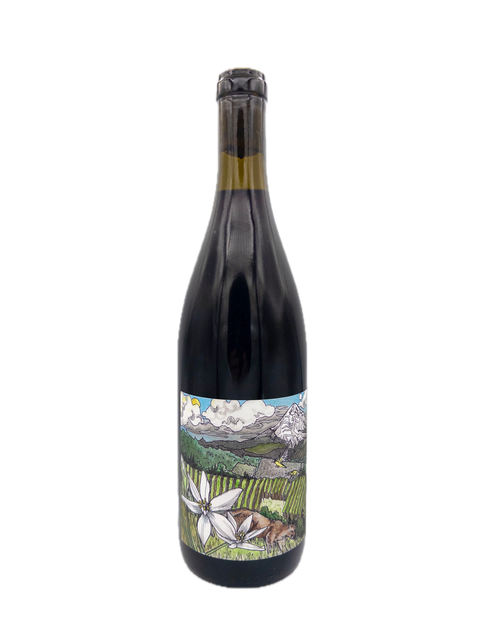 Kelly Fox Pinot Noir Mirabai Dundee Hills 2023