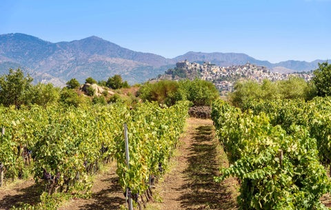 Wine 201: Sicily