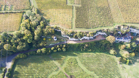 Domaine Filliatreau
