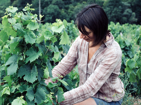 Domaine de la Grosse Pierre