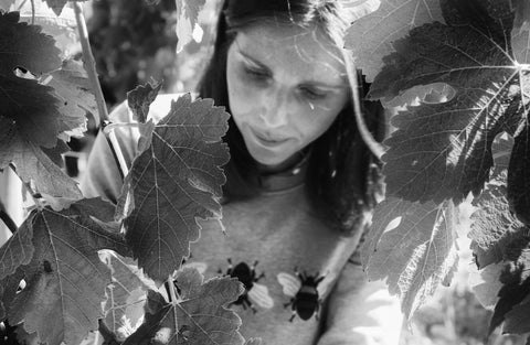 P. Jaboulet