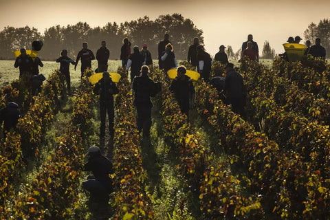 Château Lafite Rothschild