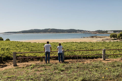 Lagar de Costa