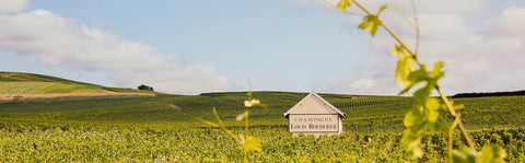 Champagne Louis Roederer