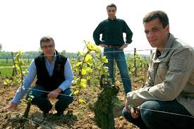 Domaine Michel