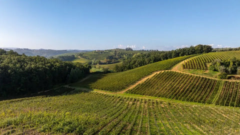 Montellori