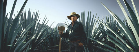 Patron