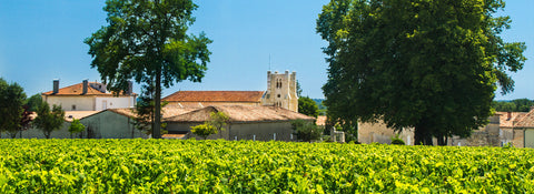 Chateau Potensac
