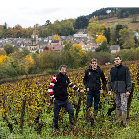 Domaine Rapet